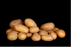 Compra Verdura, Hortalizas de Temporada | PATATA FRISIA | FrutasNieves