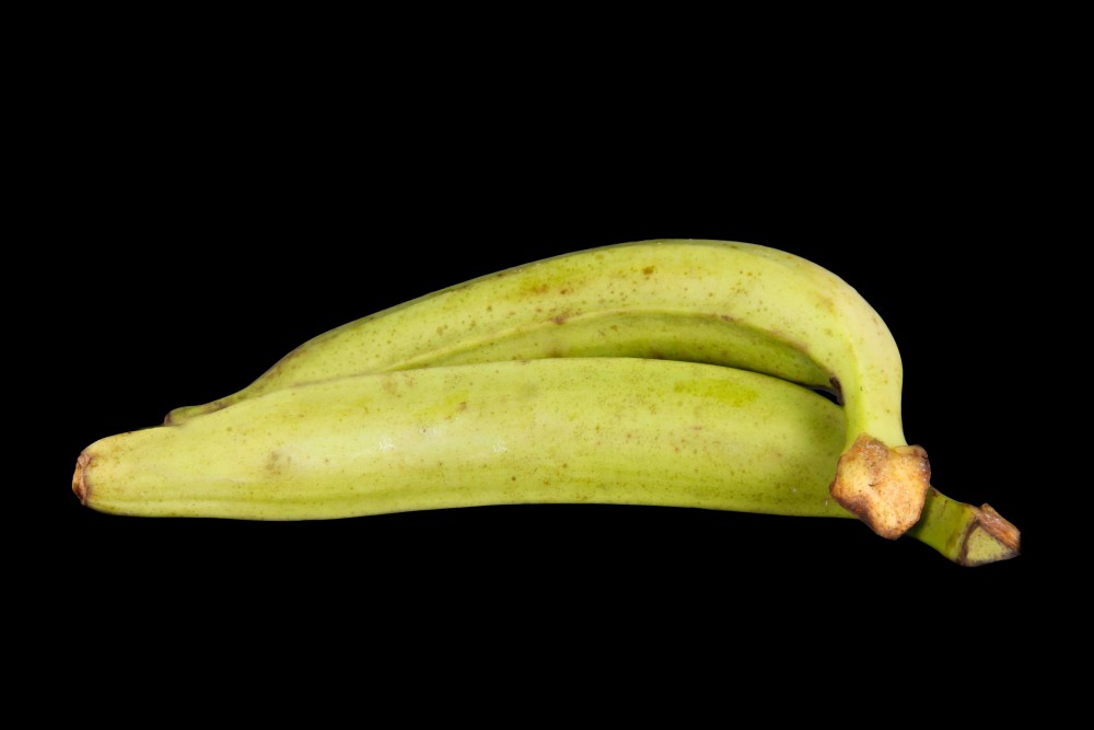 Compra Fruta de Temporada | PLATANO DE FREIR | FrutasNieves