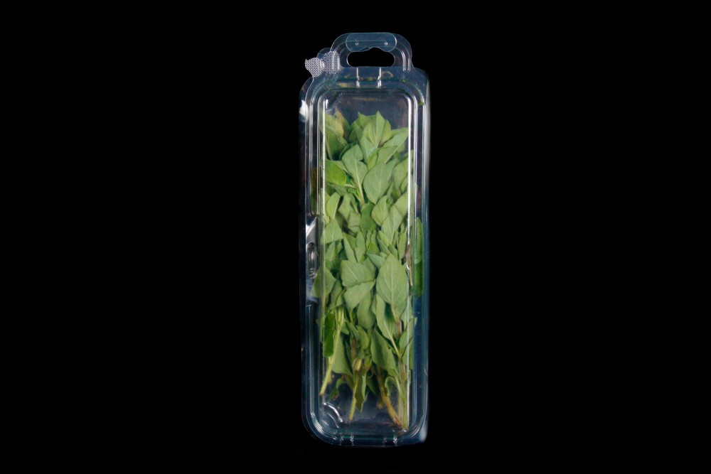 Compra Verdura, Hortalizas de Temporada | OREGANO | FrutasNieves