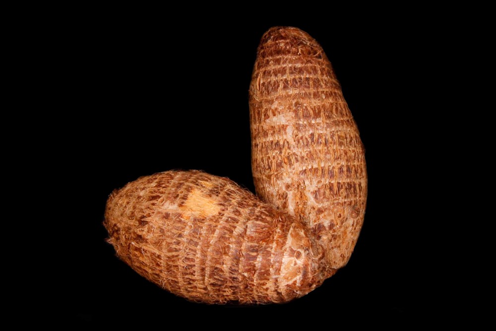 Compra Verdura, Hortalizas de Temporada | MALANGA | FrutasNieves