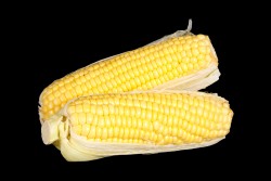 Disfruta de productos ya elaborados | MAZORCA DE MAIZ | FrutasNieves