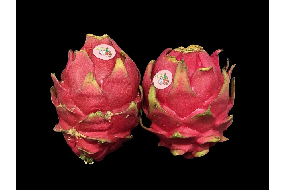 Compra Fruta de Temporada | PITAHAYA ROJA | FrutasNieves
