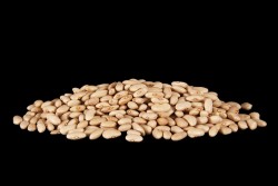 Compra Legumbres de Temporada | ALUBIA CANELA | FrutasNieves