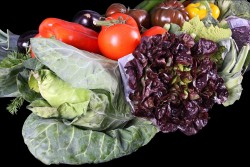 Compra Fruta de Temporada | CESTA VEGETARIANA | FrutasNieves
